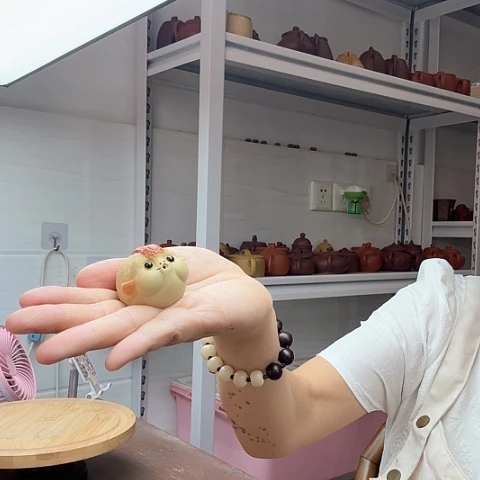 段泥茶宠吐泡泡茶宠茶宠