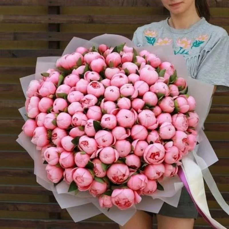 菏泽重瓣大头芍药鲜切花家庭进口插花束山东基地直发批发节日推荐