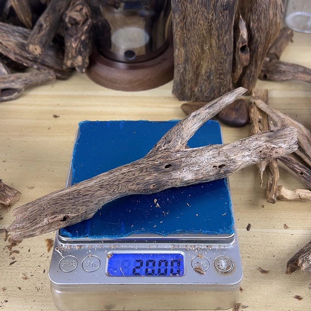 香料绿棋楠虫漏20克乌身