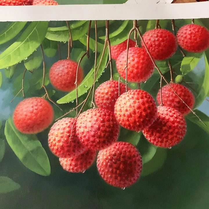 油画50*60手绘油画