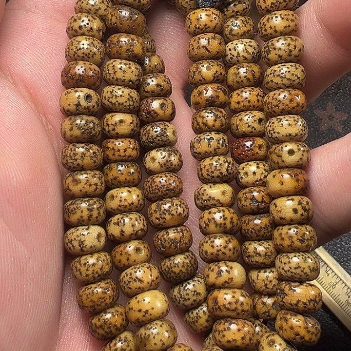 我们都是在这里看到的