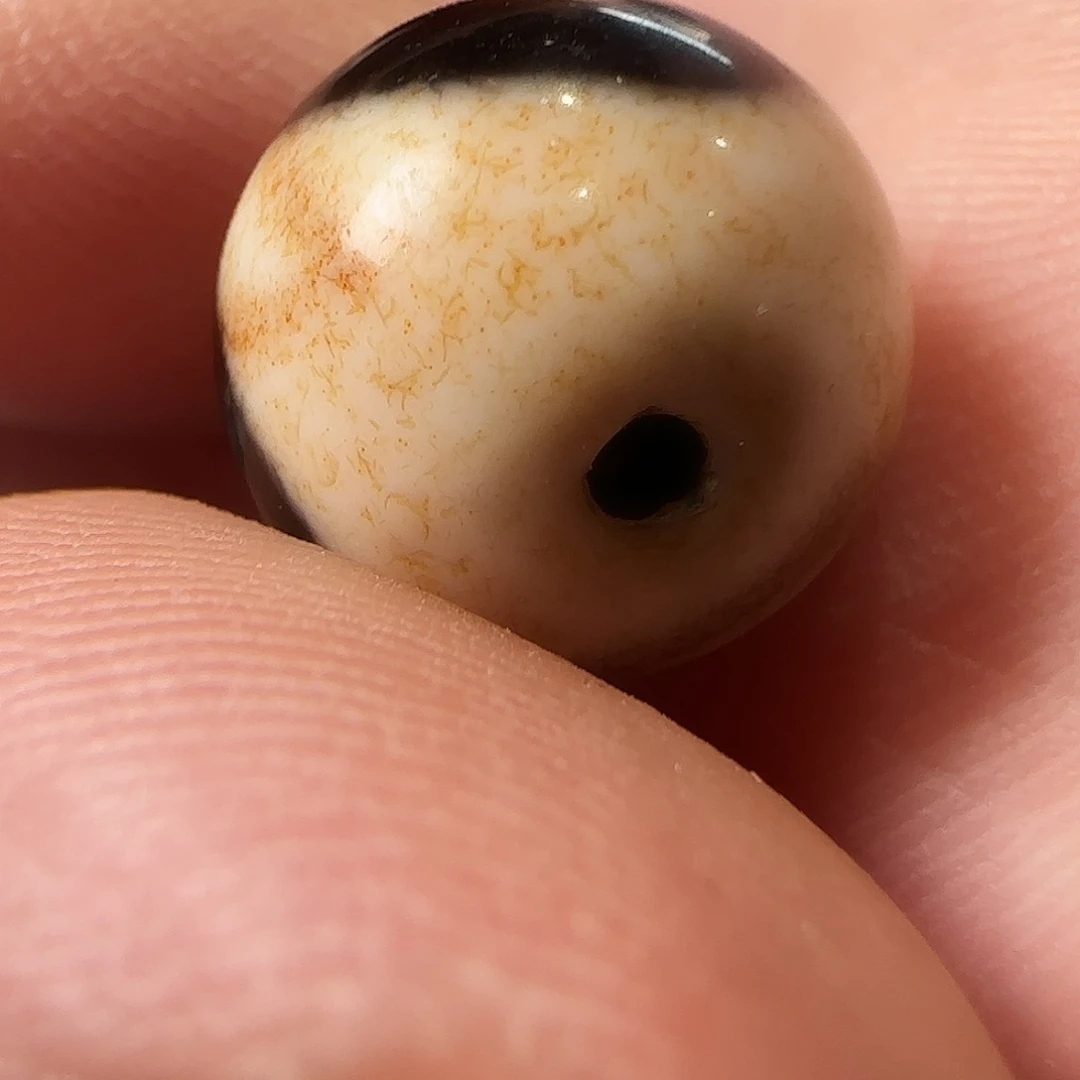 玛瑙/玉髓颈饰合金小虎牙 14尺寸