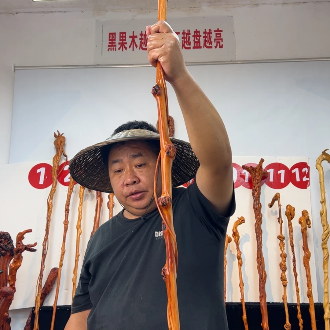 真***如黑果木其他黑果木612