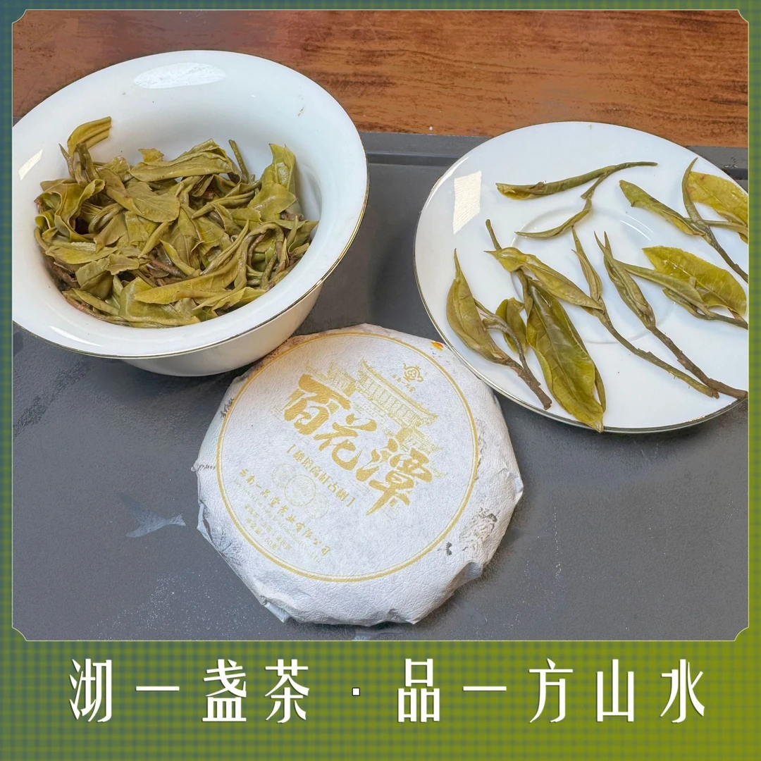 云南普洱茶2025头春头采百花潭秘境高杆古树生茶50克定制款