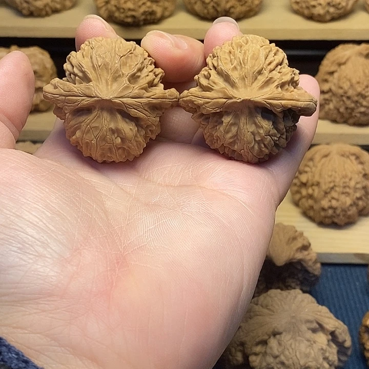 核桃44宫灯福利核桃