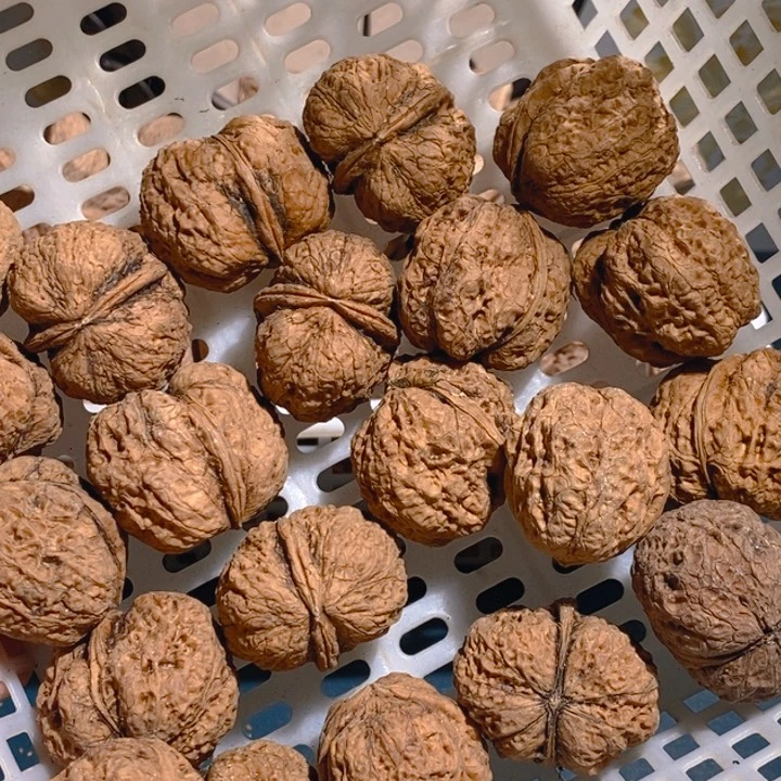 野生铁核桃手把件10颗