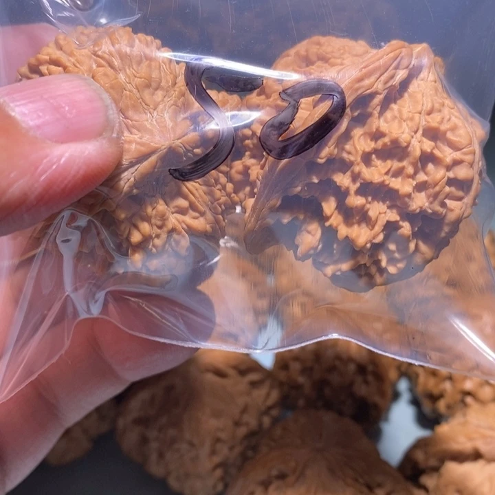 文玩核桃把件50的的一