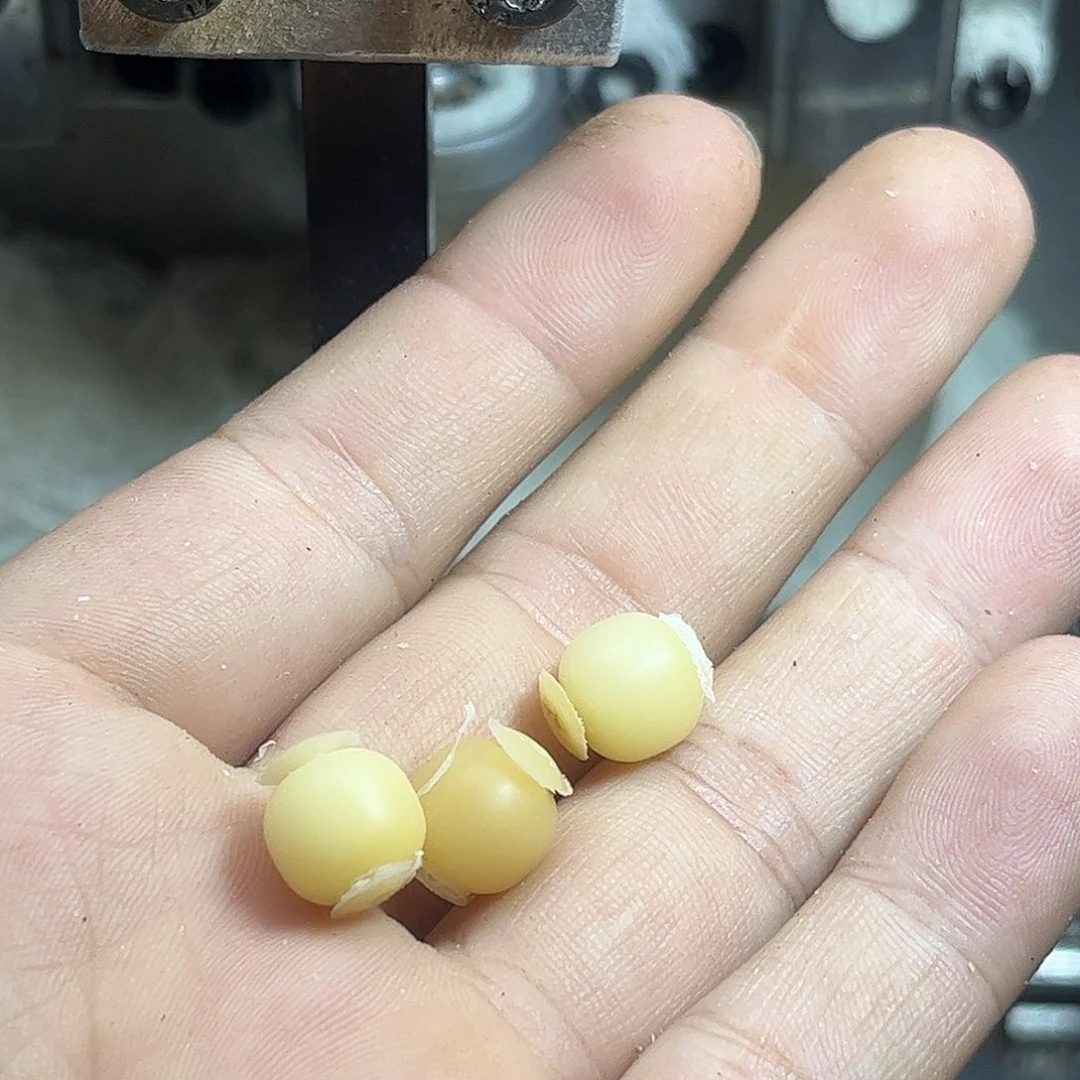 手串菩提根/象牙果