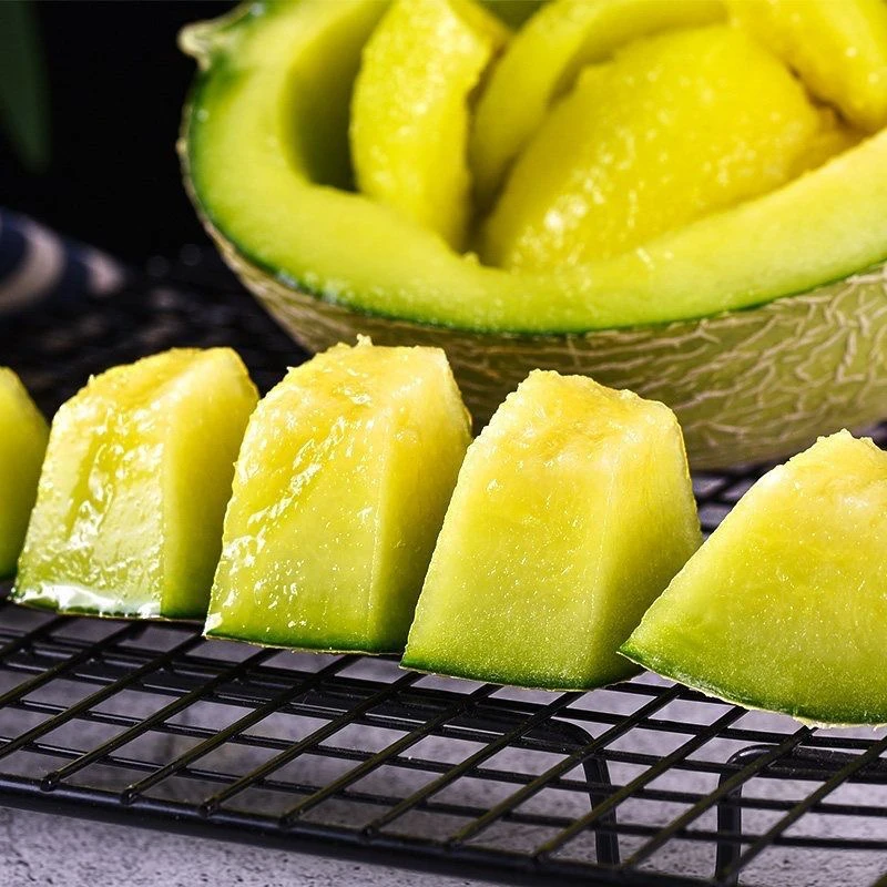 【顺丰包邮】海南网纹瓜新鲜当季水果甜瓜脆甜多汁礼盒装