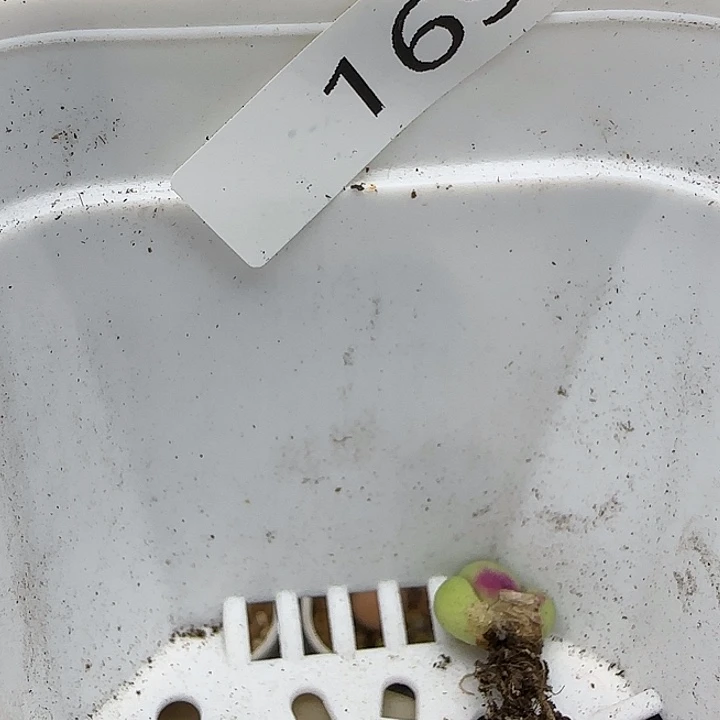 没*系169福利福利福利