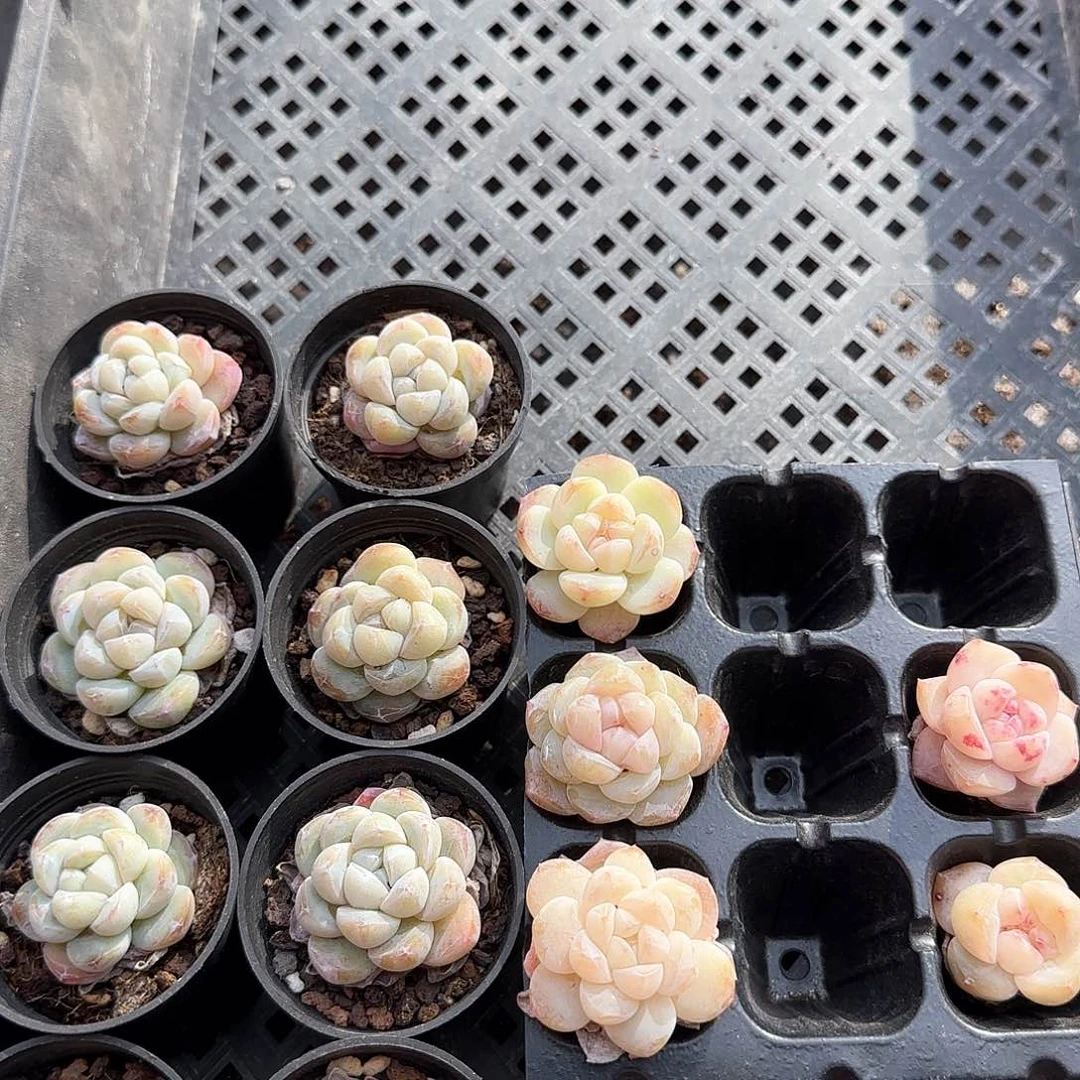 哈哈哈哈哈哈哈哈哈哈