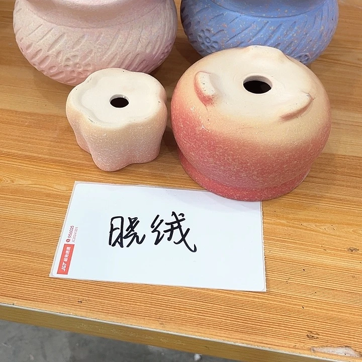 陶晓*晓绒小姐姐专属盆盆一物一拍