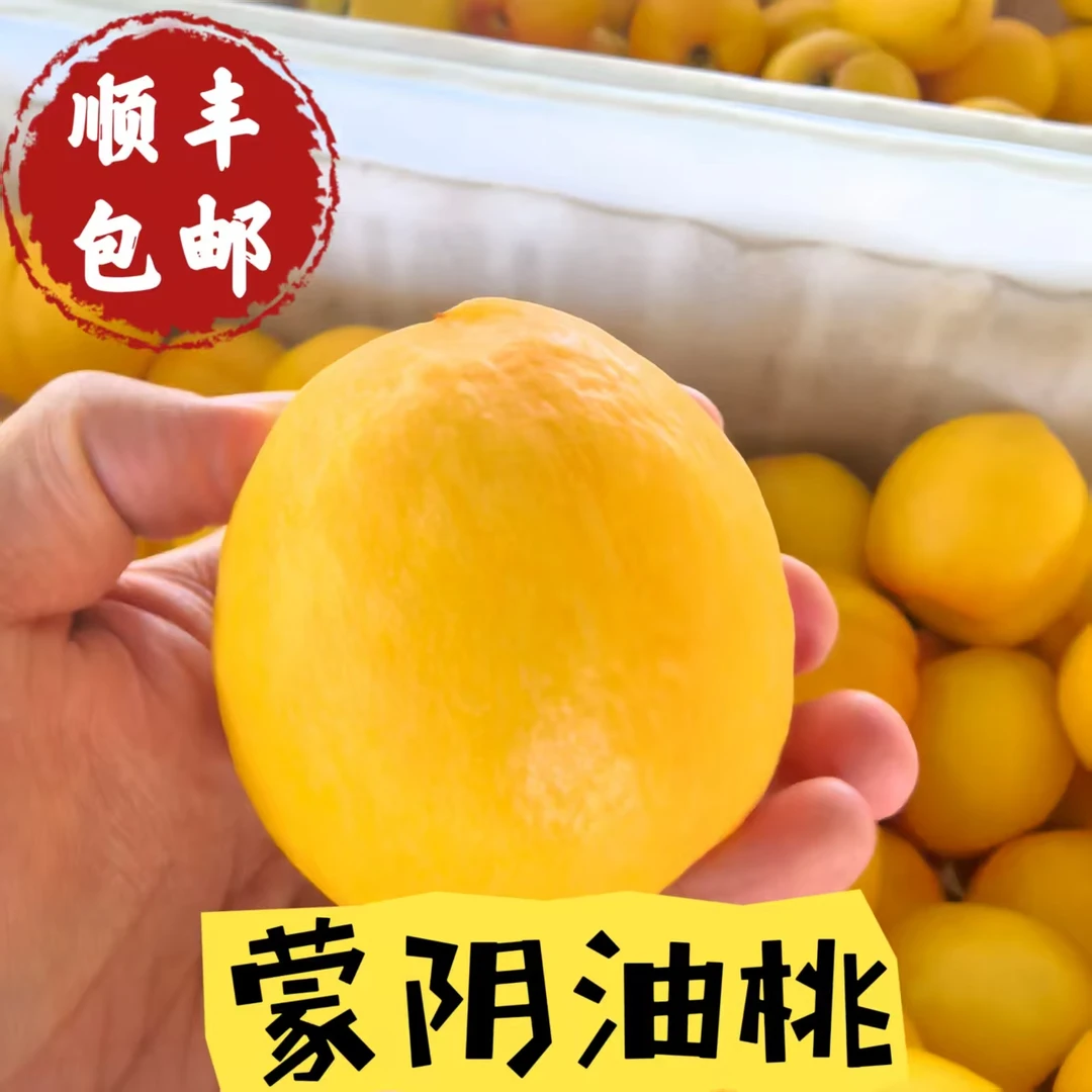 【顺丰】山东现摘蒙阴黄金油桃产地直发当季新鲜水果