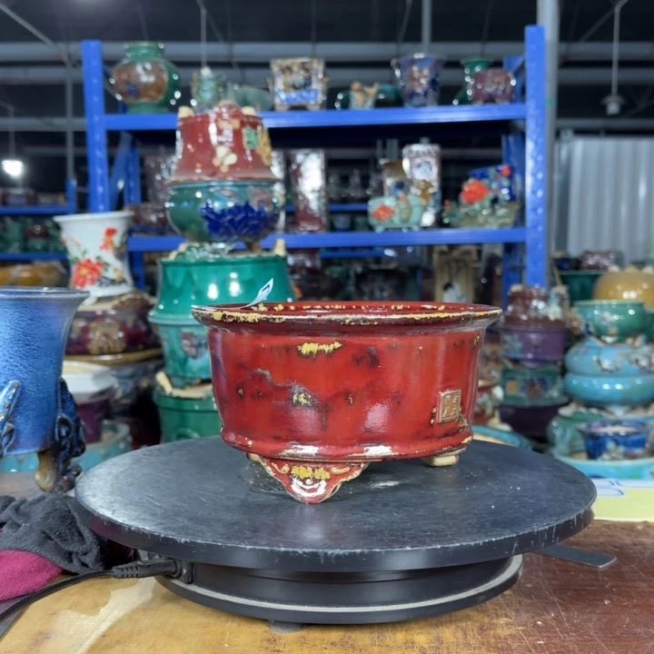 红陶三*志开播福利回馈价