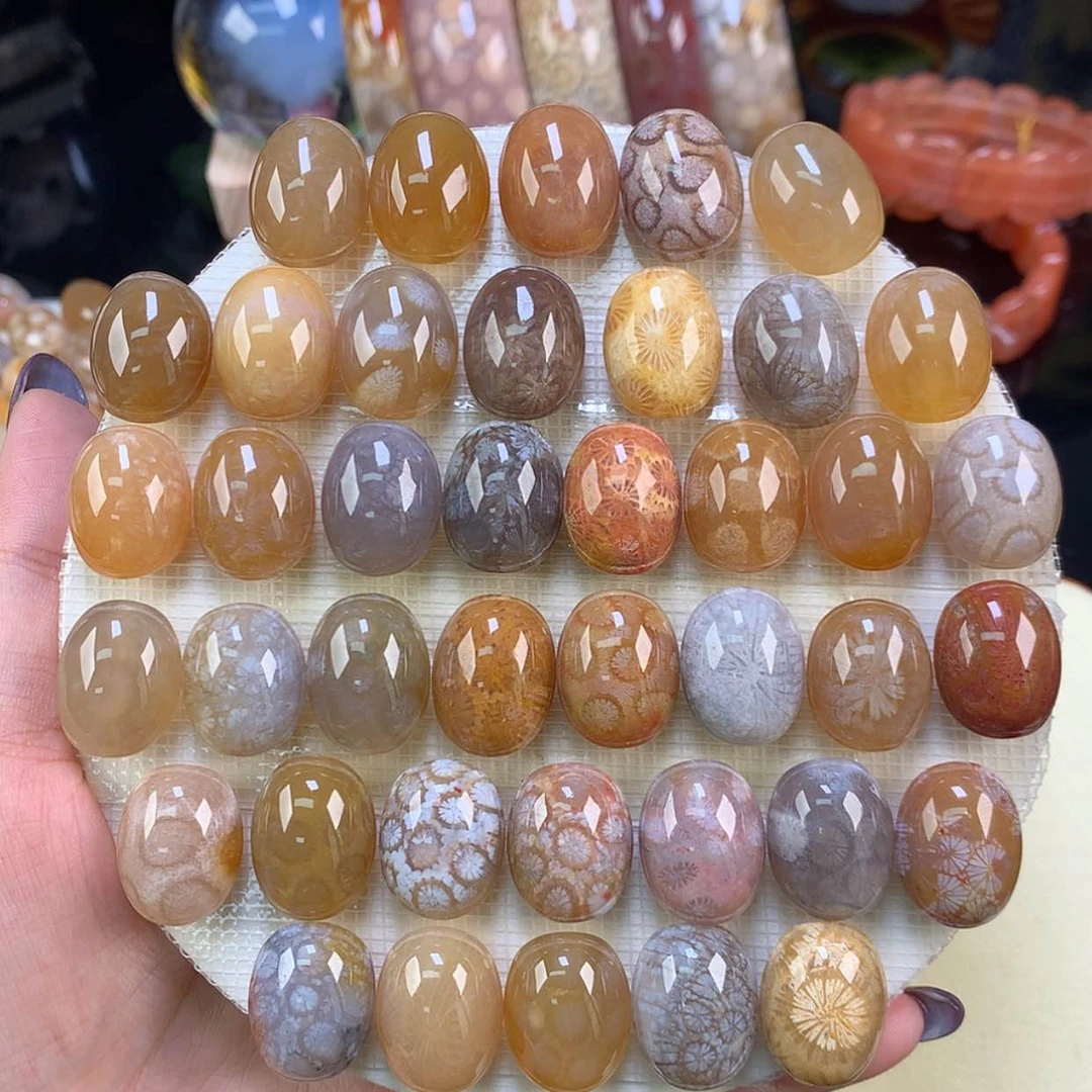 【闪购商品】颈饰未镶嵌硅化珊瑚（珊瑚玉）哇 精美龟背50一个（59号）