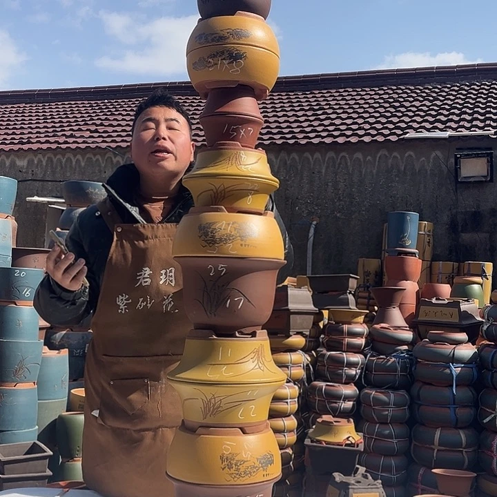 紫砂紫砂花盆盆栽