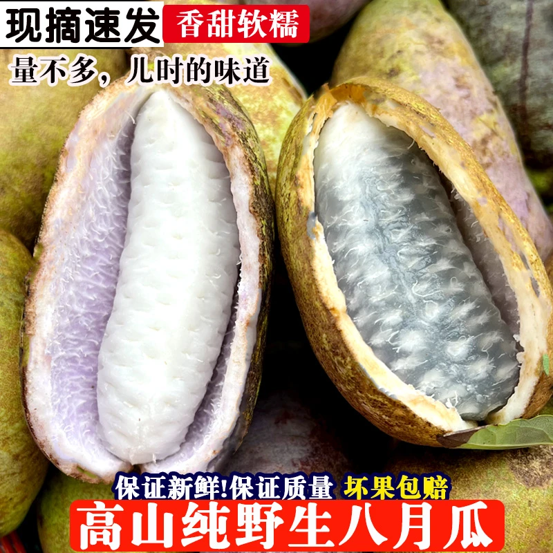 贵州新鲜八月瓜软糯香甜当季水果八月炸现摘现发整箱包邮