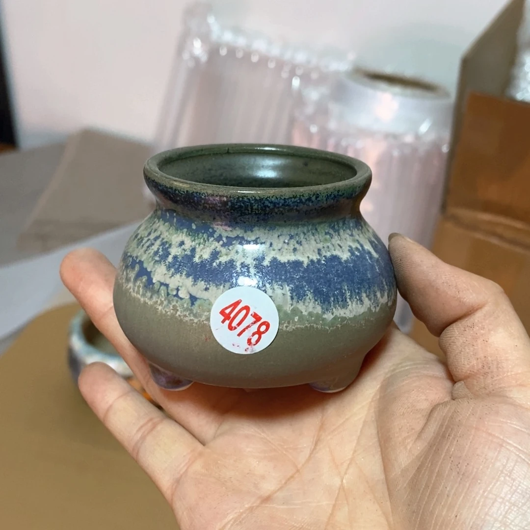 拍5送一个小礼物