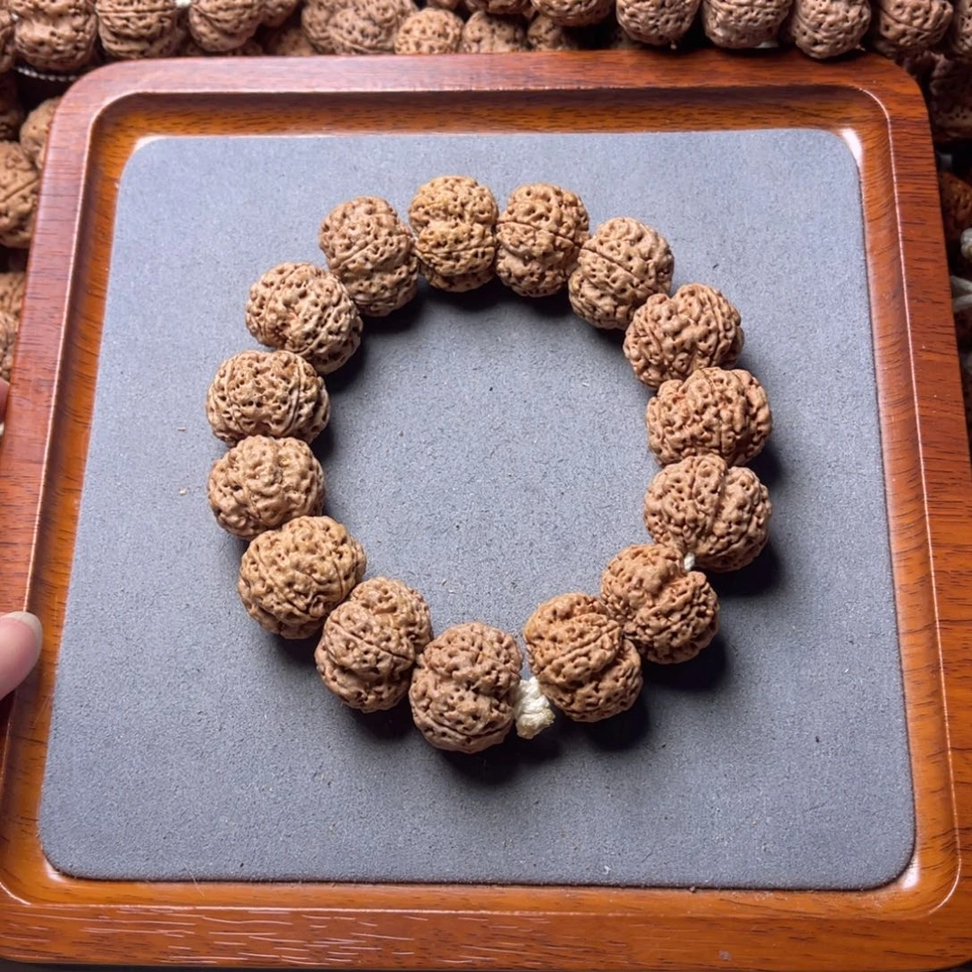 菩提籽类4号金刚菩提梁梅花23