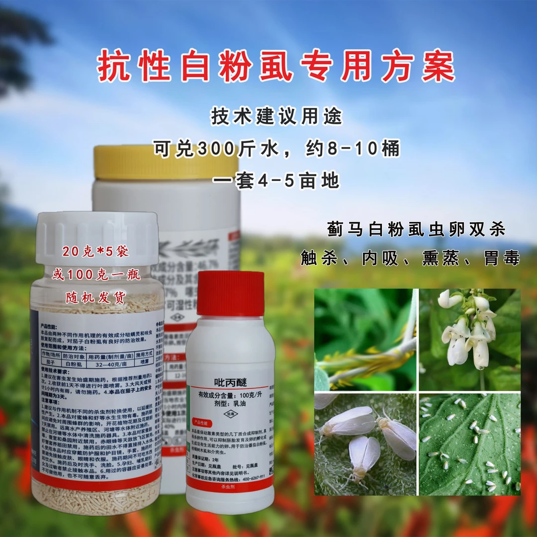 卡KA小白 辣椒白飞虱白粉虱专用组合(一套10桶水)技术建议用途
