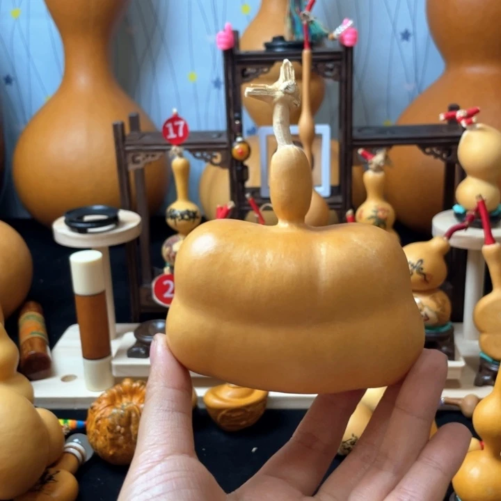 万*你们还能把这个节目搞到