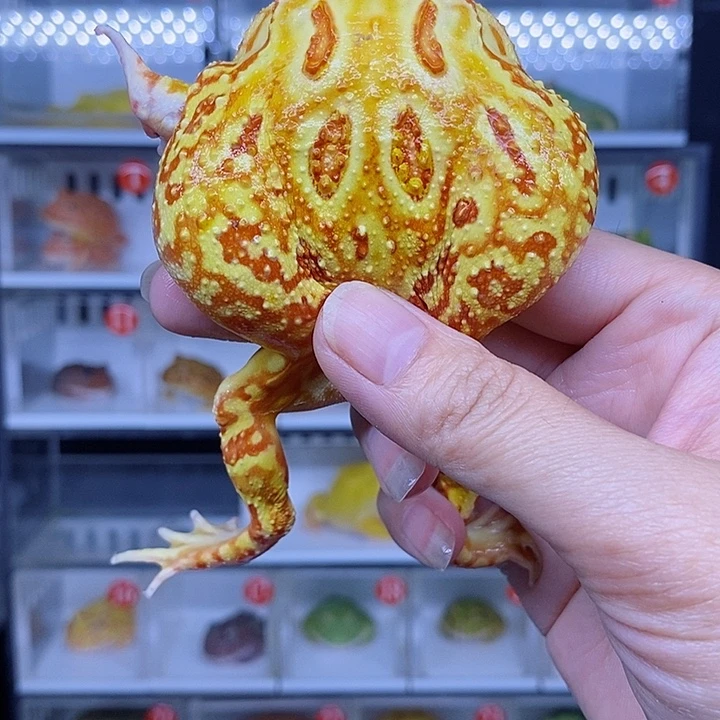 特价秒杀现货特价