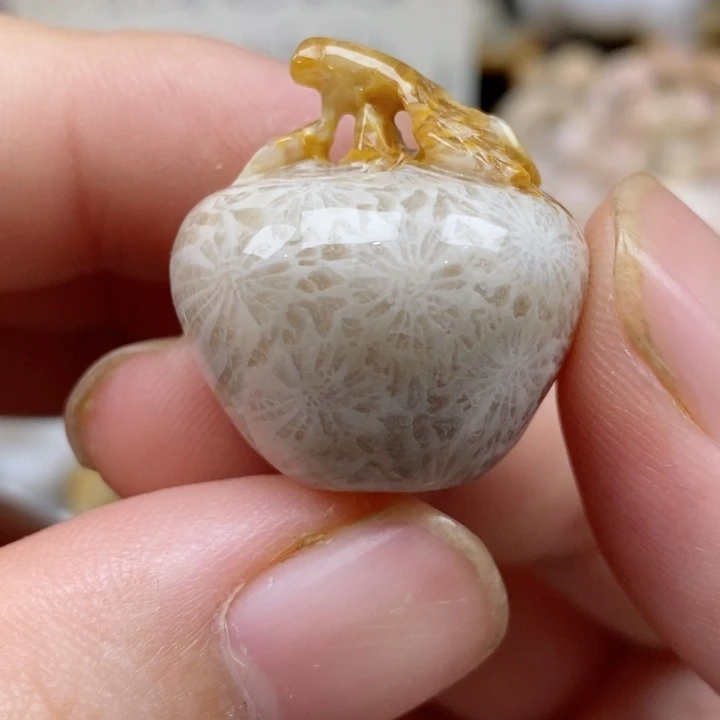 硅化珊瑚（珊瑚玉）未镶嵌颈饰