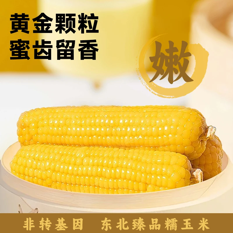 【东北糯玉米】玉米黄糯玉米水果玉米粘玉米甜玉米烤红薯专用红薯