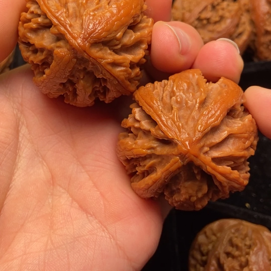 文玩核桃把件秦岭野生核桃