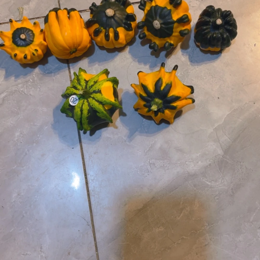 【闪购商品】文**桃哈哈哈哈哈哈哈哈哈哈