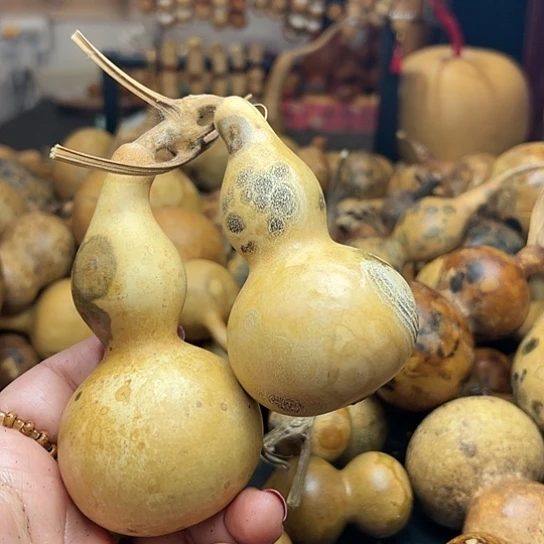 任*葫芦葫芦葫芦葫芦葫芦