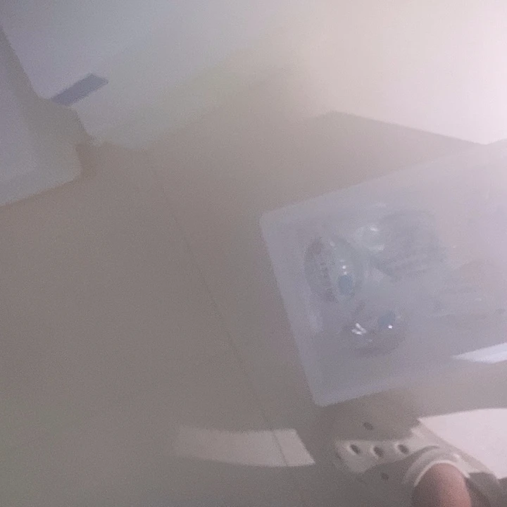 海水鱼星条旗冷水鱼白边戴