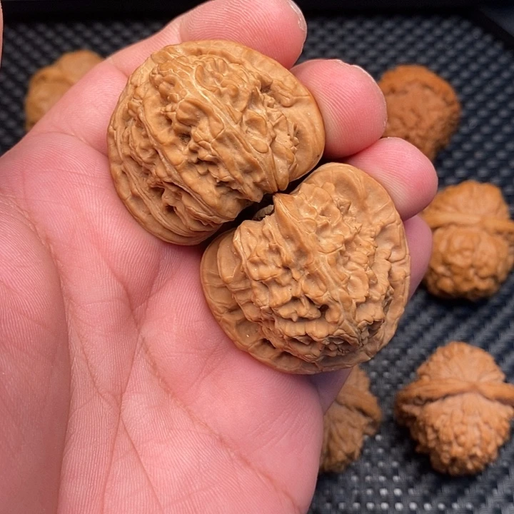 风***见文玩核桃把件白狮子41.5尺