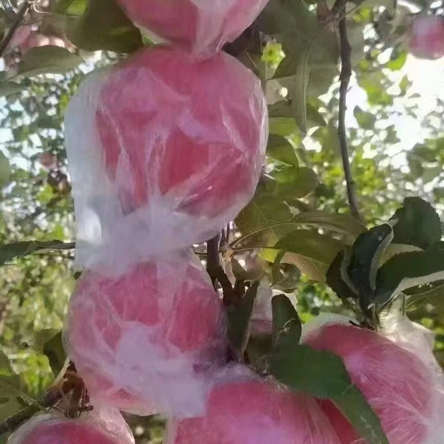 山西运城万荣红富士苹果新鲜应季脆甜多汁果香浓郁纸袋加膜袋果