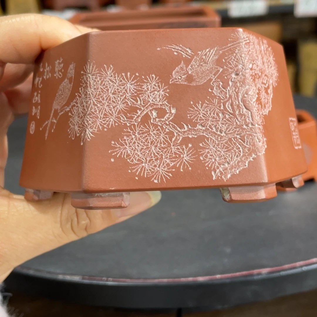 紫砂花盆紫砂花盆在这里