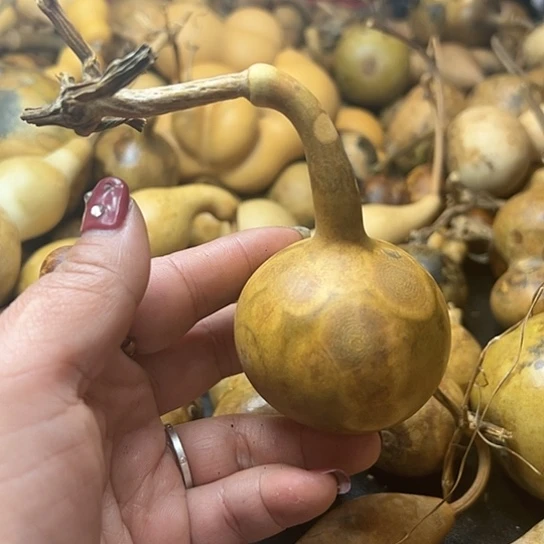 哈****酒葫芦葫芦葫芦葫芦