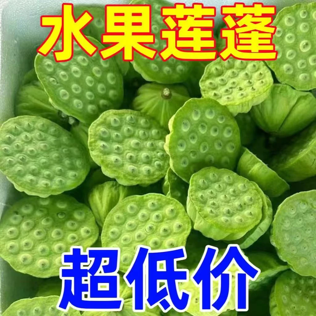 新鲜现摘莲蓬甜嫩莲子米生吃清香脆甜当季水果新鲜莲子
