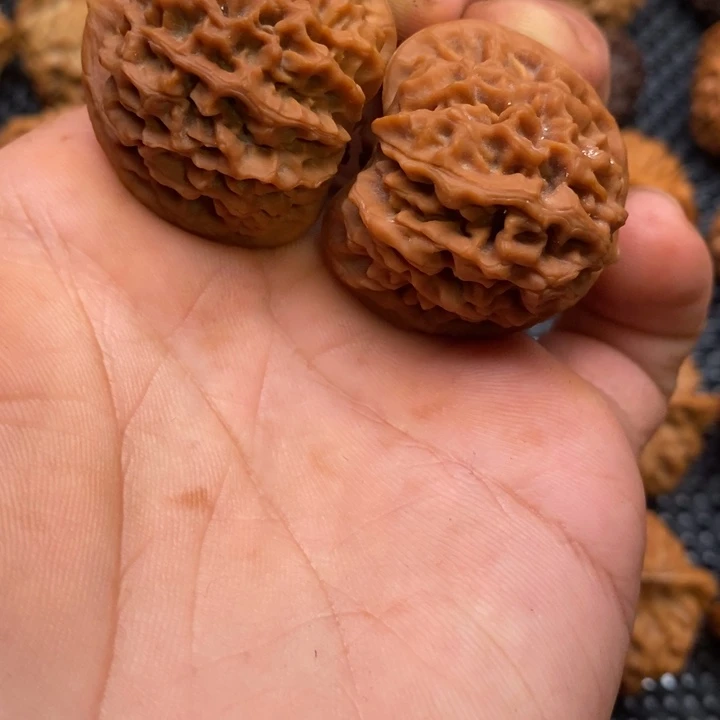 秦岭赵赵文玩 秦闷34