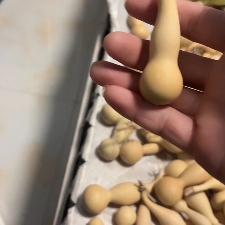 合成树脂天然葫芦手把小本捻