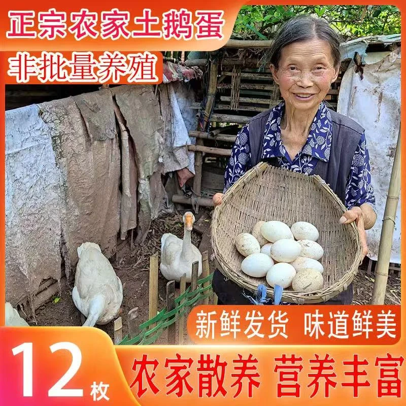 【正宗农家土鹅蛋】农家自养新鲜特大土鹅蛋批发一箱孕妇宝宝