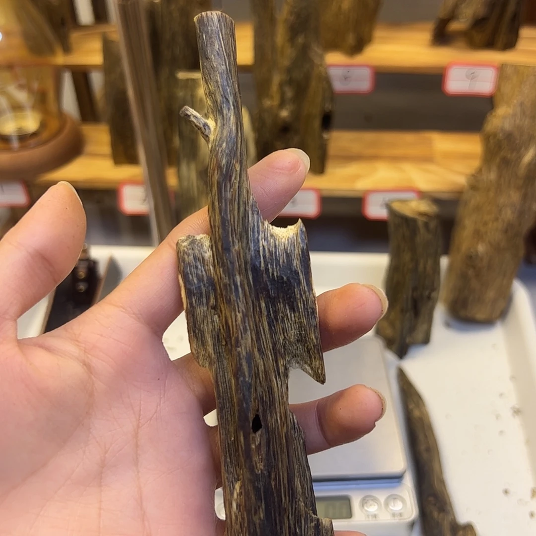 沉香碎屑沉香蓝宝石 17.2克 小摆