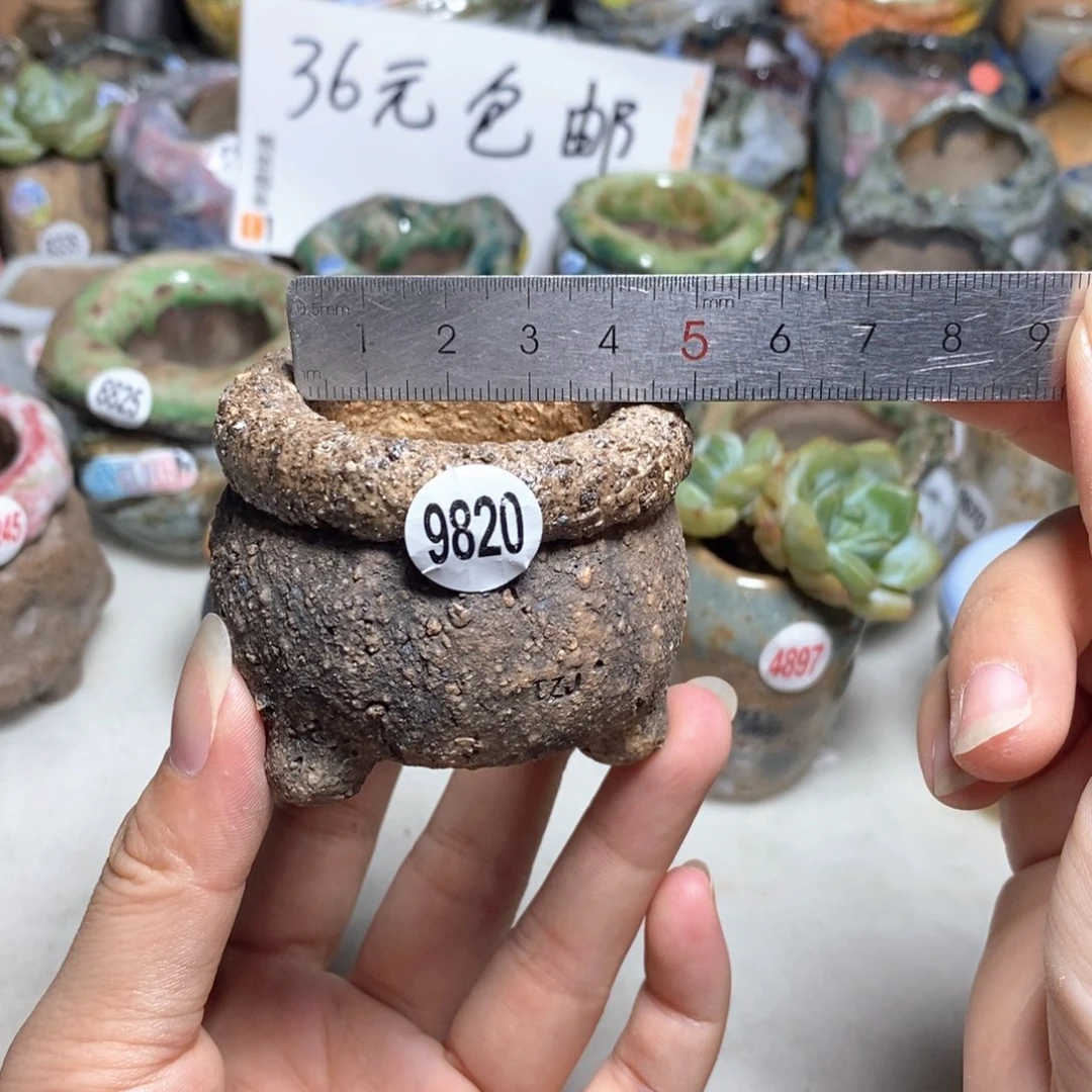 拍3送一个小礼物