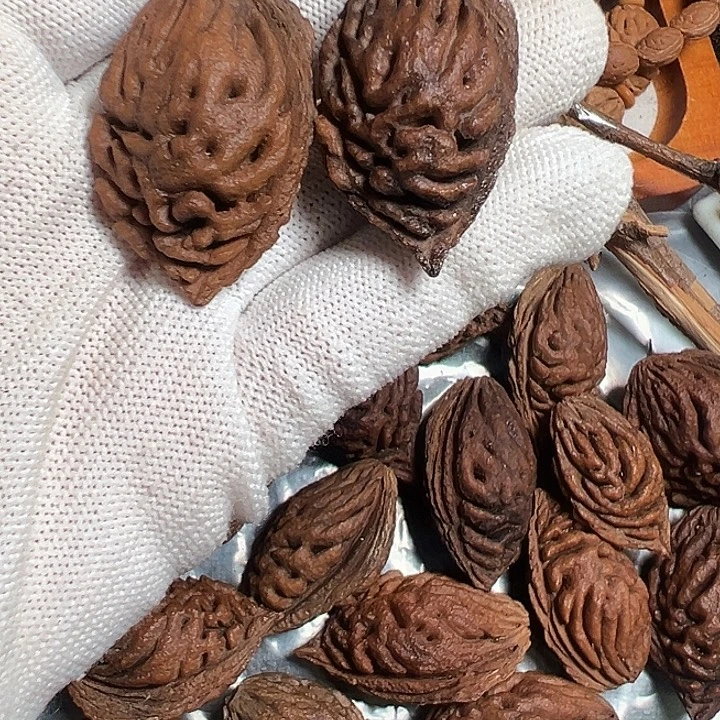 枫***雨桃核手串正宗桃枭单核