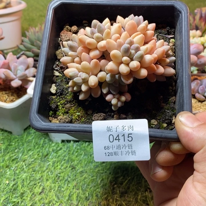 0415啊啊啊啊啊啊啊啊啊啊
