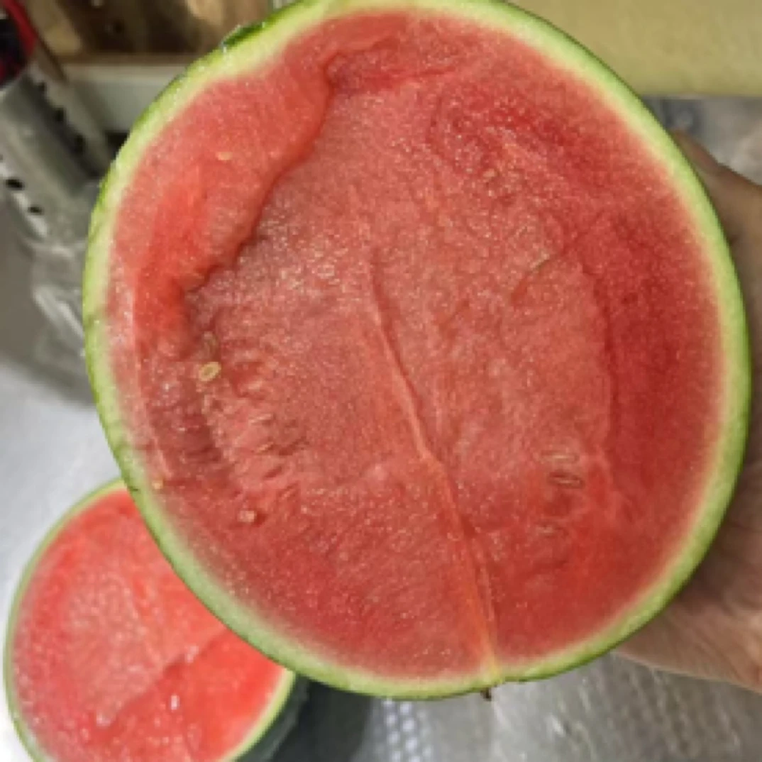 东台甘美西瓜半个3斤（代切）上海市