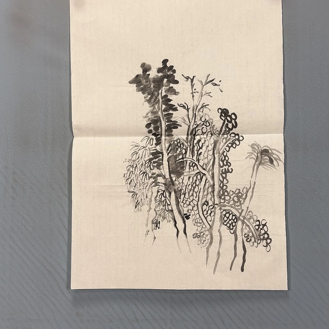 国画484 牡丹一如你初