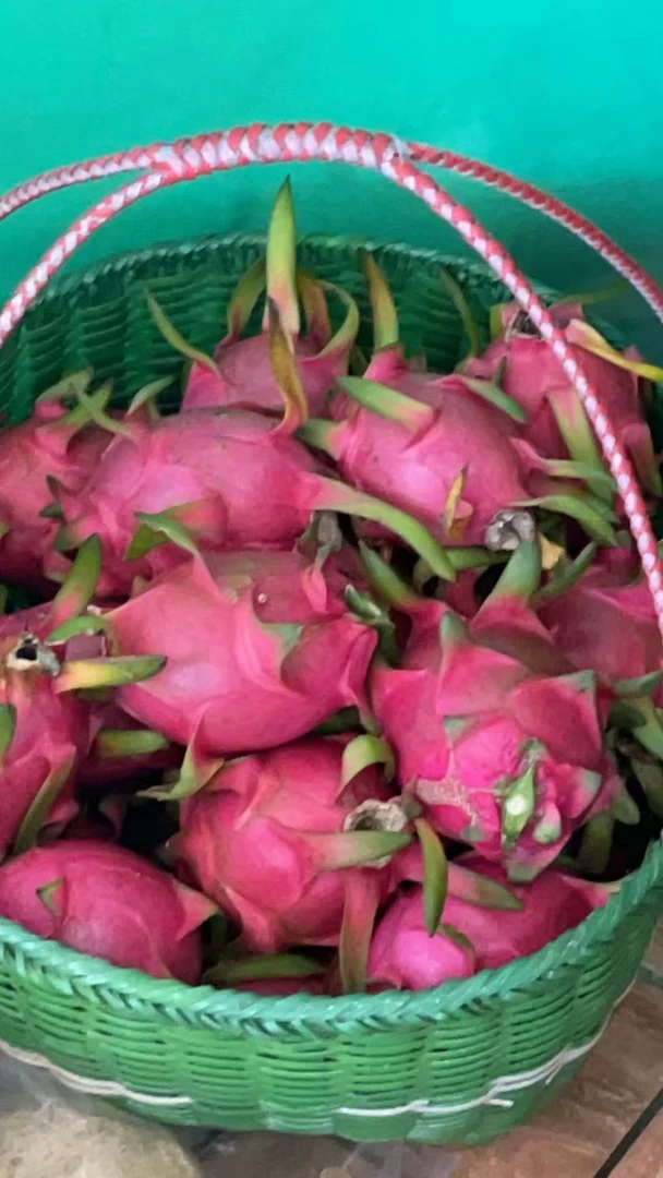 【村部尚书助农精选】莆田庄边镇农家自种红心火龙果