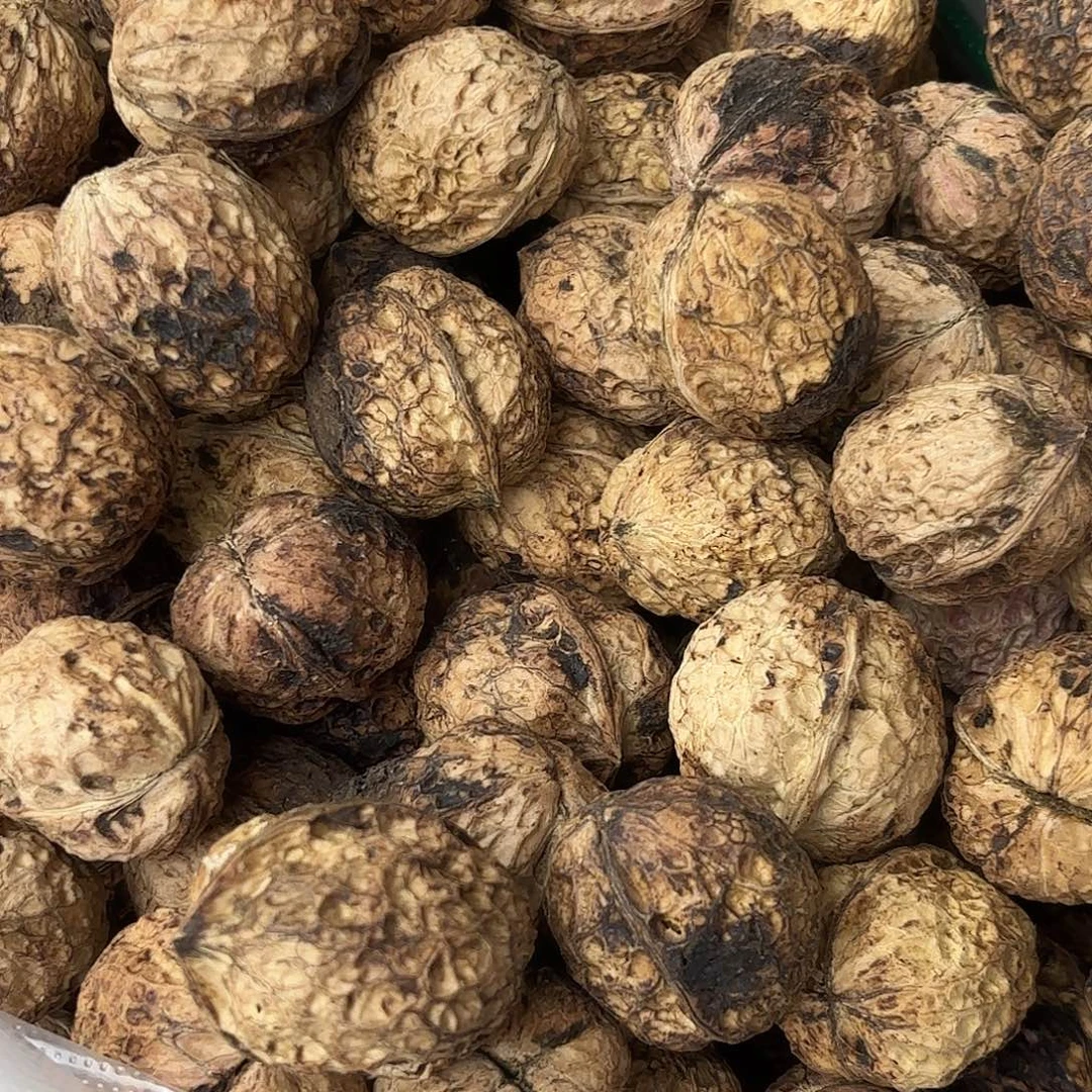 妮***妮云南南华野生菌中国大陆