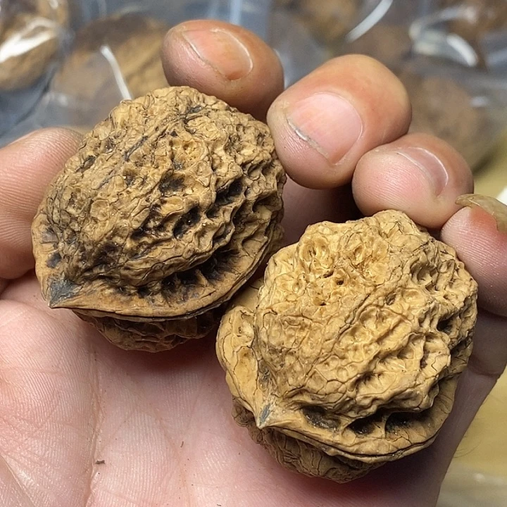 把件文玩核桃云南铁核桃76号41mm