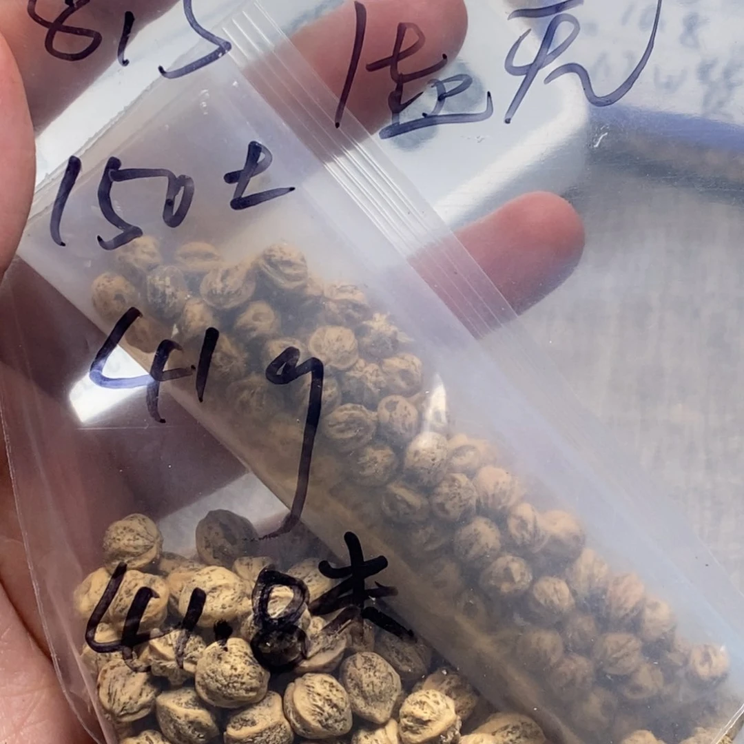 柏香籽/百香籽吊坠虚***在